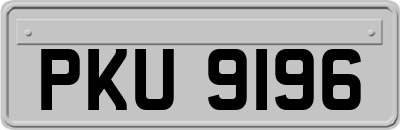 PKU9196