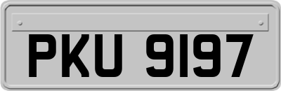 PKU9197