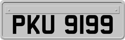 PKU9199