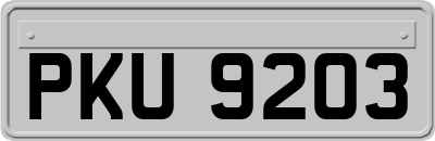 PKU9203