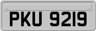 PKU9219