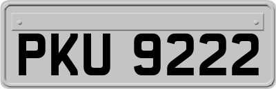 PKU9222