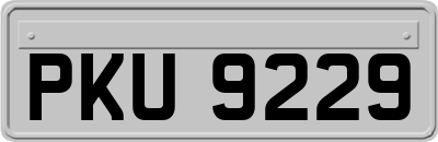 PKU9229
