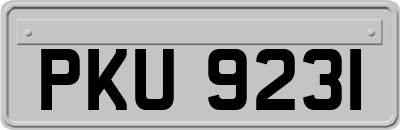 PKU9231