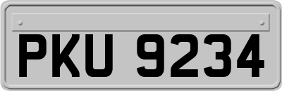 PKU9234