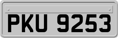 PKU9253