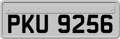 PKU9256
