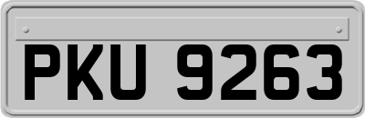 PKU9263