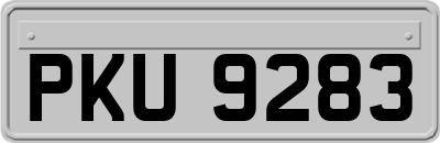 PKU9283