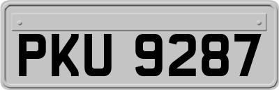 PKU9287