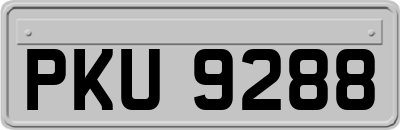 PKU9288