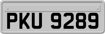 PKU9289