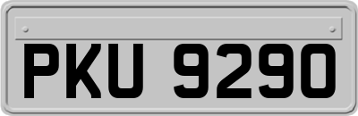PKU9290