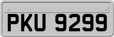 PKU9299