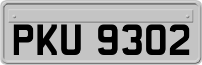 PKU9302