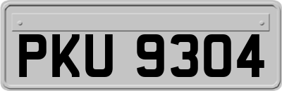 PKU9304