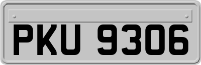 PKU9306