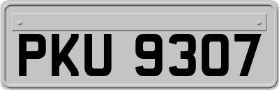 PKU9307