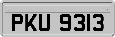 PKU9313