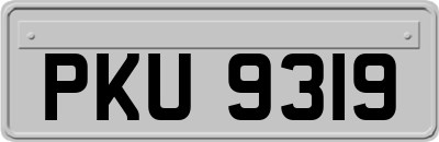 PKU9319