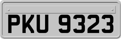 PKU9323