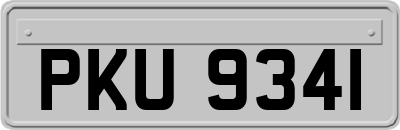 PKU9341