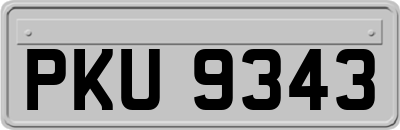 PKU9343