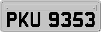 PKU9353