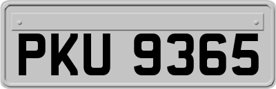 PKU9365