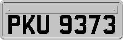 PKU9373
