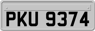 PKU9374
