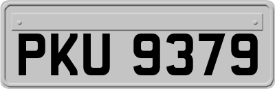 PKU9379