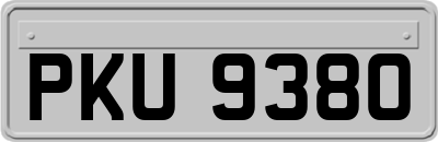 PKU9380