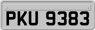 PKU9383