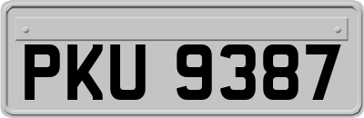 PKU9387
