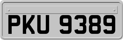 PKU9389