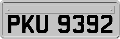 PKU9392