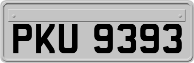 PKU9393