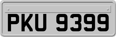 PKU9399