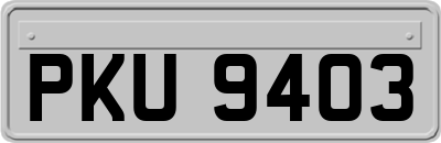 PKU9403