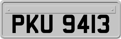 PKU9413