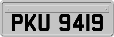 PKU9419
