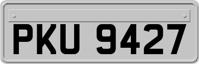 PKU9427