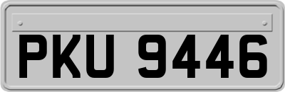 PKU9446