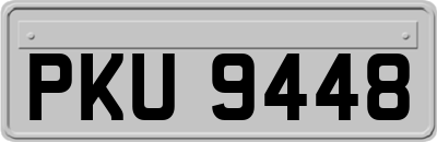 PKU9448