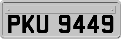 PKU9449