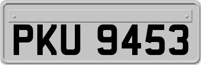 PKU9453