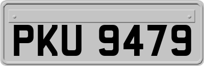 PKU9479
