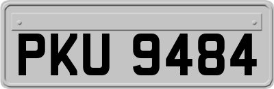 PKU9484