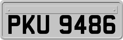 PKU9486